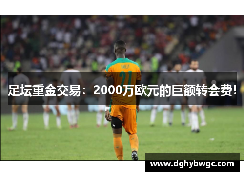 足坛重金交易：2000万欧元的巨额转会费！